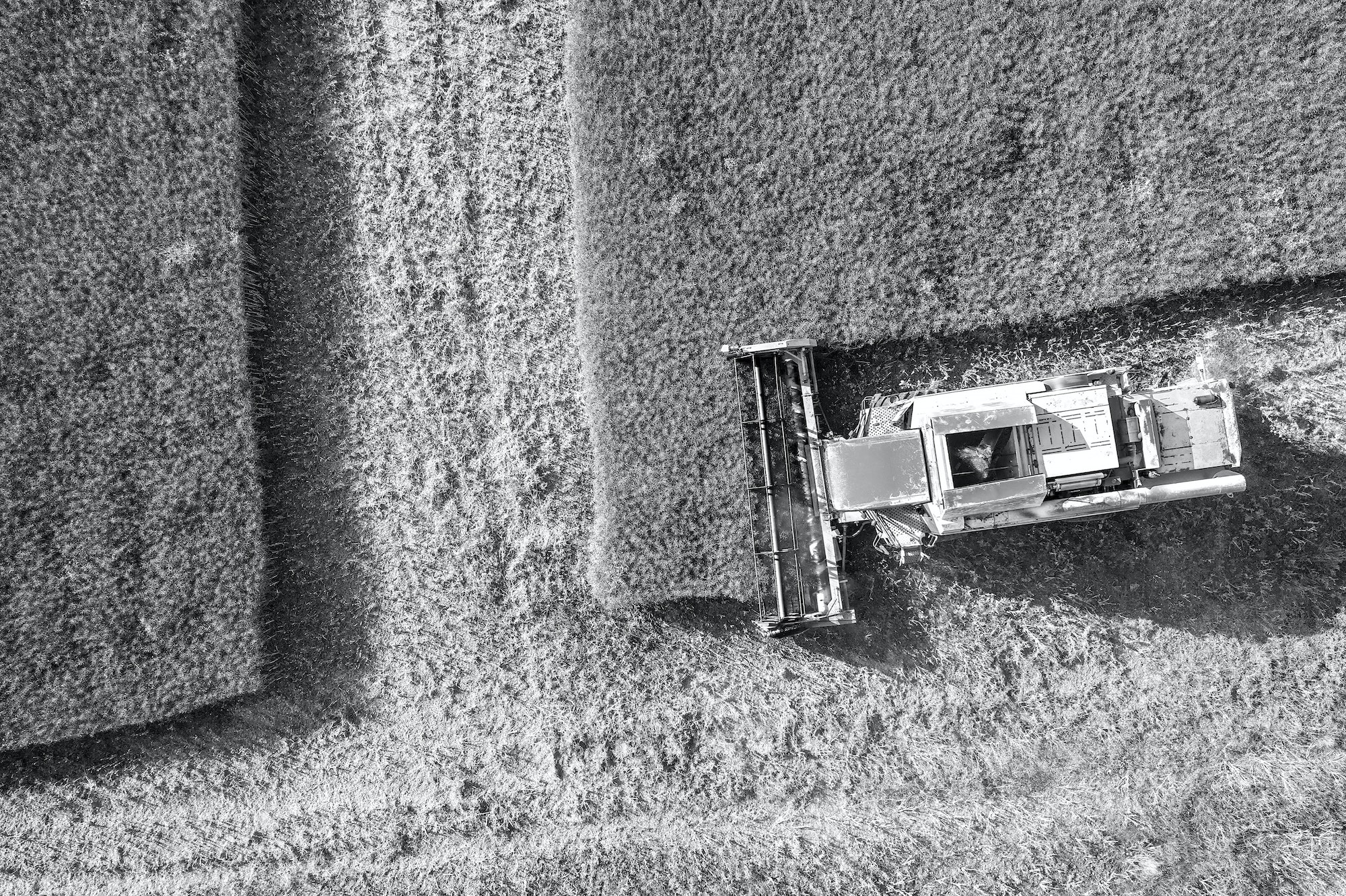Aerial view of harvester
