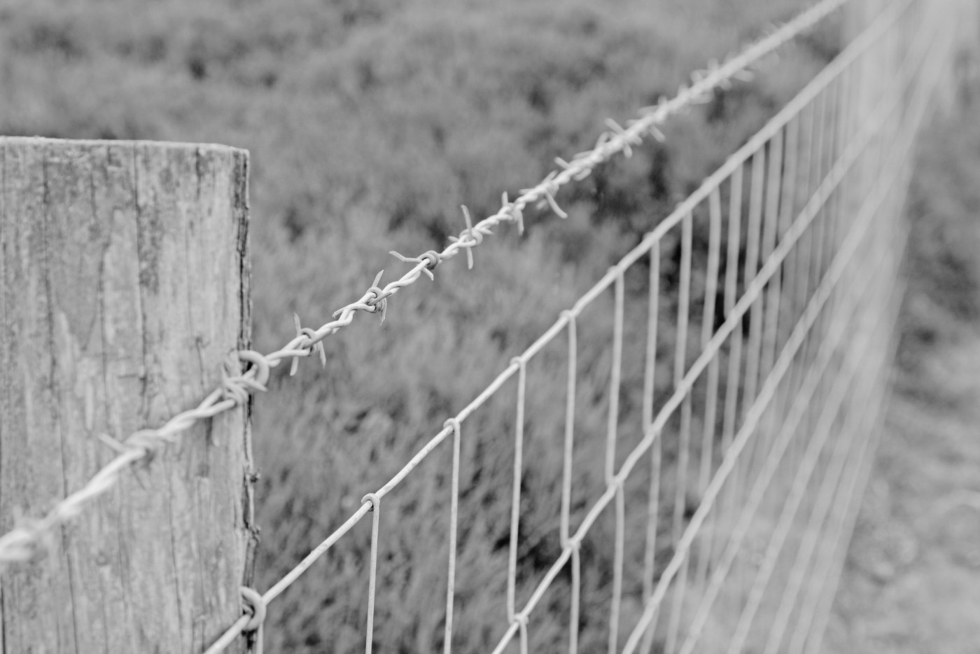 A new farm fence with barbed and netted wire